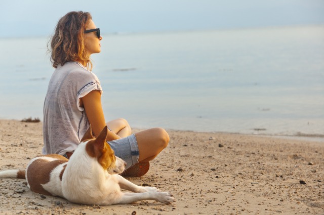 Pet-Friendly Coastal Cottages: Your Ultimate Guide to Beach Getaways with Fido